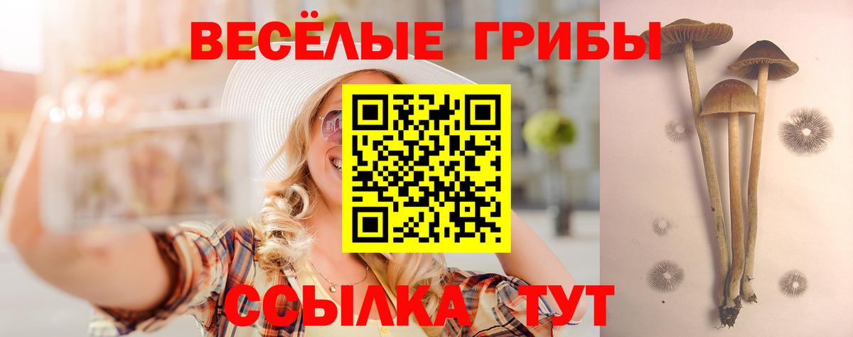 Галлюциногенные грибы Psilocybe  Вход с VPN  Сатка 